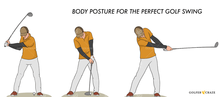 The illustration shows different body postures for the perfect golf swing.